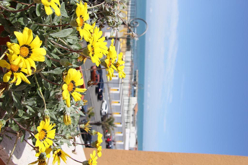 Hotel Tirrenia Lido di Ostia Exterior foto